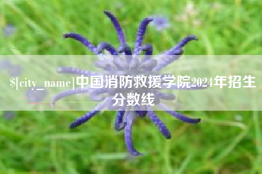 东明中国消防救援学院2024年招生分数线
