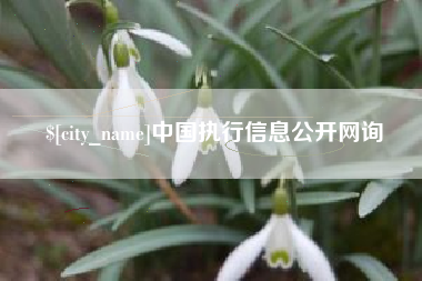 东明中国执行信息公开网询