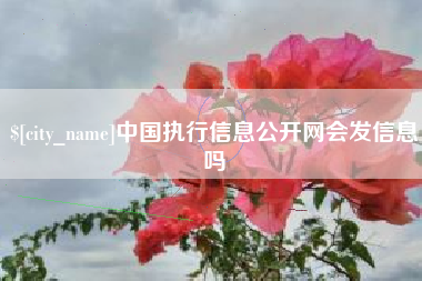 东明中国执行信息公开网会发信息吗