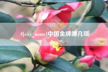 东明中国金牌哪几项