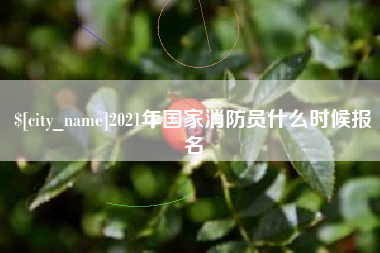 东明2021年国家消防员什么时候报名
