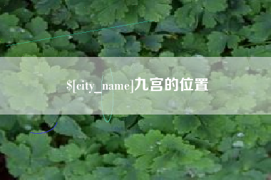 东明九宫的位置