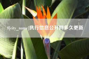 东明执行信息公开网多久更新