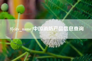 东明中国消防产品信息查询