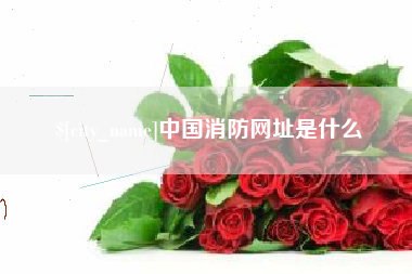 东明中国消防网址是什么