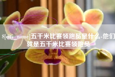 东明五千米比赛领跑员是什么-他们就是五千米比赛领跑员