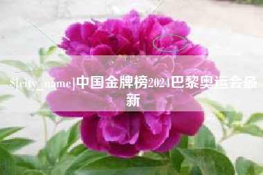 东明中国金牌榜2024巴黎奥运会最新