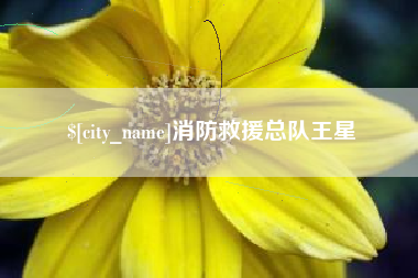 东明消防救援总队王星