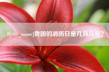东明我国的消防日是几月几号？