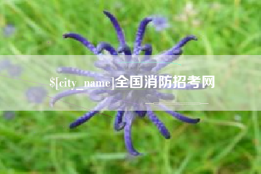 东明全国消防招考网