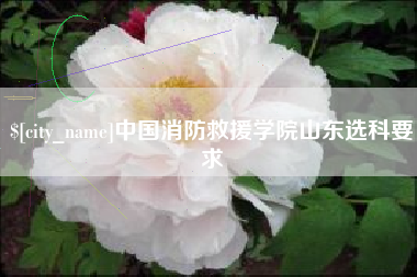 东明中国消防救援学院山东选科要求