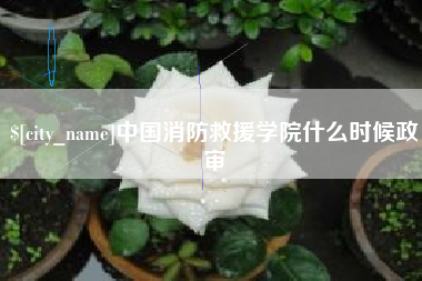 东明中国消防救援学院什么时候政审