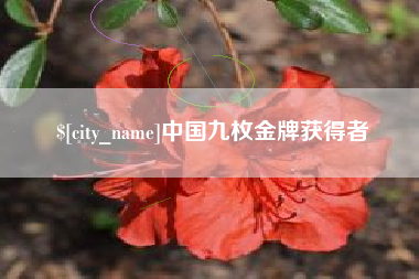 东明中国九枚金牌获得者