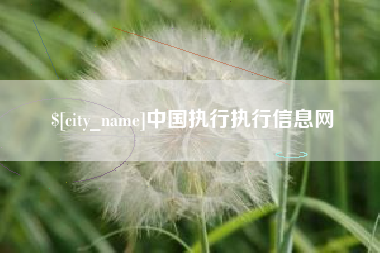 东明中国执行执行信息网