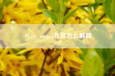 东明九宫怎么解释