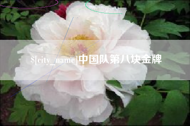 东明中国队第八块金牌