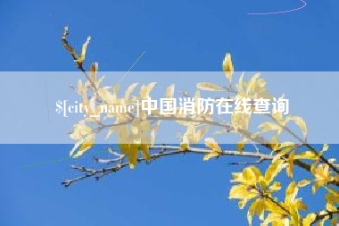 东明中国消防在线查询