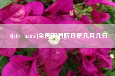 东明全国的消防日是几月几日