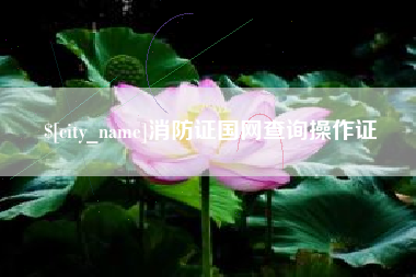 东明消防证国网查询操作证