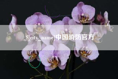 东明中国消防官方