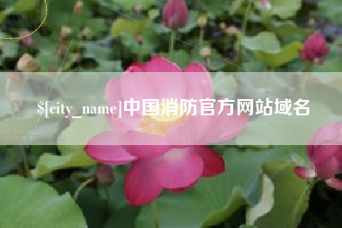 东明中国消防官方网站域名