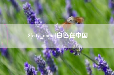 东明白色在中国