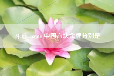 东明中国六块金牌分别是