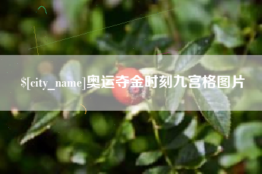 东明奥运夺金时刻九宫格图片