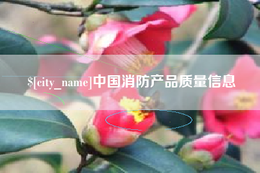 东明中国消防产品质量信息