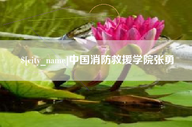 东明中国消防救援学院张勇