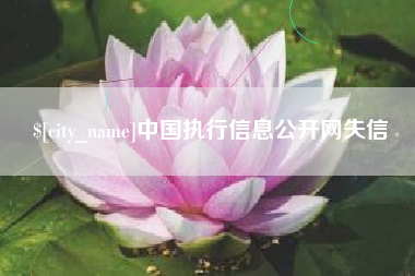 东明中国执行信息公开网失信