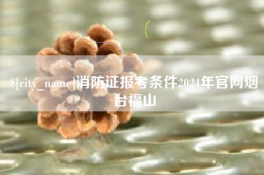 东明消防证报考条件2024年官网烟台福山