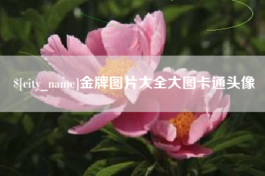 东明金牌图片大全大图卡通头像