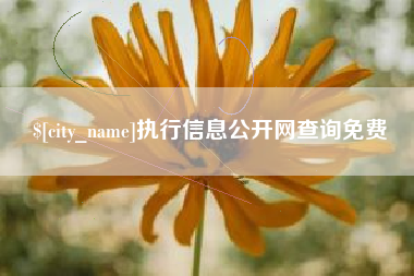 东明执行信息公开网查询免费