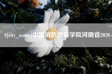 东明中国消防救援学院河南省2020